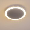AITRACH Ceiling Light LED silver, 1-light source