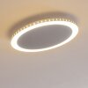 AITRACH Ceiling Light LED silver, 1-light source