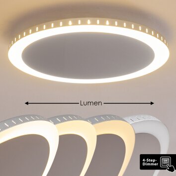 AITRACH Ceiling Light LED silver, 1-light source