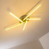 Moncton ceiling light LED matt nickel, 1-light source