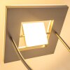 KIMBA uplighter LED matt nickel, 3-light sources