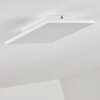 Barasat Ceiling Light LED white, 1-light source