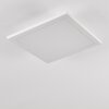 Barasat Ceiling Light LED white, 1-light source