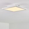 Barasat Ceiling Light LED white, 1-light source