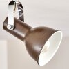 Danikon Ceiling Light brown, 4-light sources
