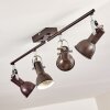 Danikon Ceiling Light brown, 4-light sources