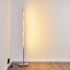 Mapleton floor lamp LED matt nickel, 3-light sources, Remote control