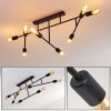 Cahaba Ceiling Light black, 8-light sources