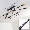Cahaba Ceiling Light black, 8-light sources