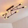 Cahaba Ceiling Light black, 8-light sources