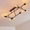 Cahaba Ceiling Light black, 8-light sources