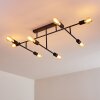 Cahaba Ceiling Light black, 8-light sources
