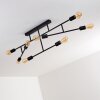 Cahaba Ceiling Light black, 8-light sources