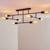 Cahaba Ceiling Light black, 8-light sources