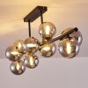 Chehalis Ceiling Light LED black, 9-light sources