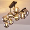 Chehalis Ceiling Light LED black, 9-light sources