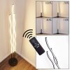 Mapleton Floor Lamp LED black, 3-light sources, Remote control