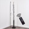 Mapleton Floor Lamp LED black, 3-light sources, Remote control