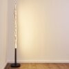 Mapleton Floor Lamp LED black, 3-light sources, Remote control