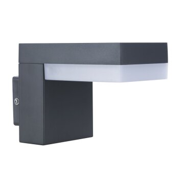 Globo VIRO Outdoor Light anthracite, 1-light source