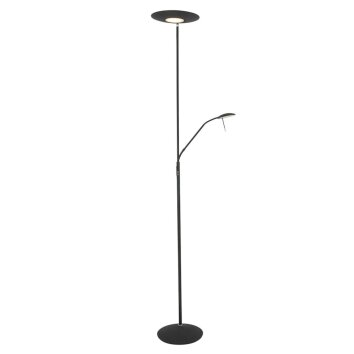 Steinhauer ZENITH Floor Lamp LED black, 2-light sources