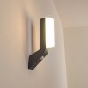 PORUS Outdoor Wall Light LED anthracite, 1-light source, Motion sensor