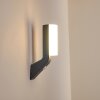 PORUS Outdoor Wall Light LED anthracite, 1-light source, Motion sensor