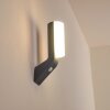 PORUS Outdoor Wall Light LED anthracite, 1-light source, Motion sensor