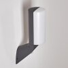 PORUS Outdoor Wall Light LED anthracite, 1-light source, Motion sensor