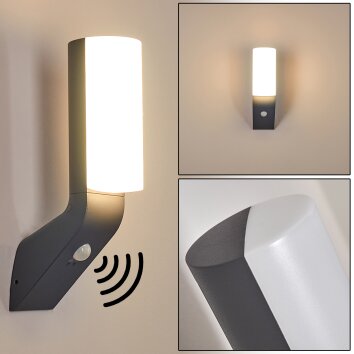 PORUS Outdoor Wall Light LED anthracite, 1-light source, Motion sensor