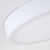 Broglen Ceiling Light LED white, 1-light source