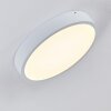 Broglen Ceiling Light LED white, 1-light source
