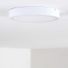Broglen Ceiling Light LED white, 1-light source