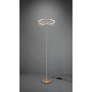 Trio CHARIVARI Floor Lamp LED brass, 1-light source