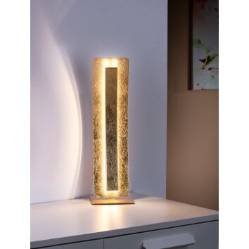 Paul Neuhaus NEVIS table lamp LED gold, 1-light source