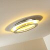 Springdale ceiling light LED silver, 4-light sources