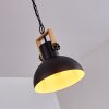 Chetco Pendant Light Light wood, black, 1-light source