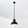Chetco Pendant Light Light wood, black, 1-light source