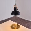 Chetco Pendant Light Light wood, black, 1-light source
