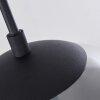 Agropoli Pendant Light smoke coloured, black, 1-light source