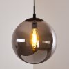 Agropoli Pendant Light smoke coloured, black, 1-light source