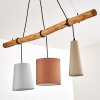 Pendant Light Seegaard black, 3-light sources