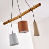Pendant Light Seegaard black, 3-light sources