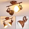 Tina Ceiling Light rust-coloured, 2-light sources