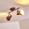 Tina Ceiling Light rust-coloured, 2-light sources