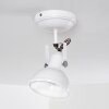 TINA ceiling light white, 1-light source
