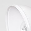TINA ceiling light white, 1-light source