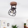 HAERVEJ Ceiling Light Dark wood, black, 1-light source