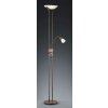 Trio 4219 floor lamp LED rust-coloured, 4-light sources