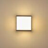 BUCKAU Outdoor Wall Light LED anthracite, white, 1-light source